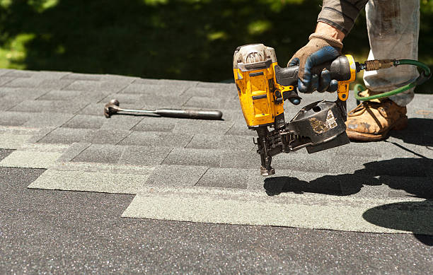 Best Roof Gutter Cleaning  in Hampton, SC